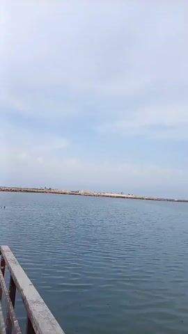 The video shows a wide, calm expanse of water, likely a bay or lagoon, under a bright, overcast sky with scattered clouds. In the distance, a sandy, low-lying landmass stretches horizontally across the frame, dotted with small structures and a few figures. The foreground features a wooden railing, weathered and showing signs of age, suggesting a pier or viewing platform.

The water is a muted blue-green and gently rippled, reflecting the soft light of the day. Two small, dark shapes, possibly birds or other aquatic life, are visible in the water towards the middle distance. A person's back is visible on the right side of the frame, looking out at the water, hinting at leisure or observation.

The overall mood is peaceful and serene, with a sense of open space and natural beauty. The time of day appears to be daytime, with the diffused light suggesting it could be morning or afternoon. The location cues, along with the sky and water, point to a coastal or waterside setting. There is no visible text in the media file.