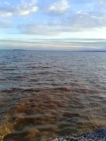 The video shows a wide expanse of water under a cloudy sky. The water is choppy, with a brown tinge near the shore. The shoreline is made up of gray pebbles. A small, leafless shrub sits on the edge. The camera pans slowly to the right, revealing more of the rocky shoreline and eventually, the sun peeking out from behind the clouds on the horizon.