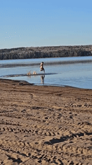 Sunny afternoon brings residents to Chaikovsky waterfront for recreation