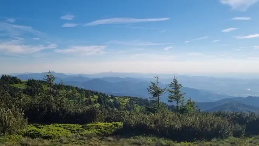 This media file is a video of a scenic mountain landscape. The foreground features lush green bushes and trees, including several pine trees, growing on a grassy hillside. The middle ground is a densely forested slope with more pine trees and other greenery. In the background, a vast expanse of rolling blue mountains stretches to the horizon, fading into a hazy sky. The sky is a vibrant blue with scattered white, wispy clouds. The sun appears to be high in the sky, suggesting it is daytime, likely mid-morning or early afternoon, given the bright light and clear visibility. The weather appears to be fair and pleasant. There are no people or objects visible in the frame. The location is identified as Martin, Slovakia, which aligns with the mountainous terrain. The overall impression is one of natural beauty, tranquility, and a sense of vastness. No text is visible in the video.