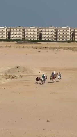 A video shows a wide, sandy landscape with a row of beige apartment buildings in the background. In the middle ground, a group of five people on horseback are riding across the sand. The horses are of various colors, including brown, white, and grey. The riders are wearing casual clothing. The sky is clear and blue. The terrain is mostly flat with some small piles of sand and debris.