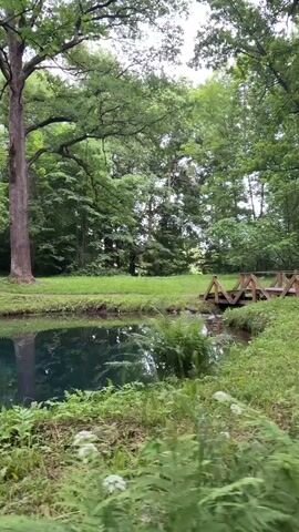 A serene natural landscape featuring a small, clear pond with reflections of trees. A wooden footbridge crosses a small stream to the right of the pond. Lush green foliage, including ferns and grass, surrounds the water and forms a dense forest in the background. The scene is peaceful and idyllic, evoking a sense of natural beauty.