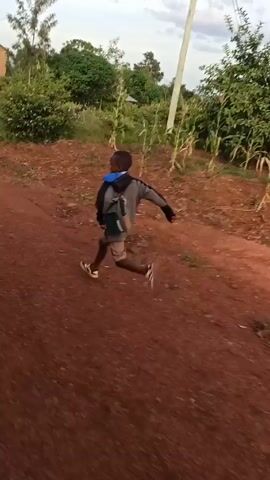 A young boy is running down a red dirt road. He is wearing a blue and gray jacket, shorts, and white sneakers. He is carrying something on his back. The environment includes green vegetation, including corn stalks and trees, and a building in the background. The sky is overcast. The camera seems to be moving along the road following the boy.