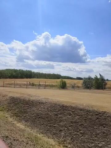 A video pans across a dry, rural landscape under a blue sky with white clouds. The foreground shows a rough, uneven dirt embankment. Beyond that is a flat, yellowish-brown field, likely dry grass or stubble, stretching to the horizon. A line of sparse trees and bushes runs across the middle distance, with a few more scattered trees in the field. In the far distance, a line of trees marks the edge of the landscape. A wooden fence runs along the right side of the frame in the foreground and middle distance, appearing to be part of a path or overlook. There is a concrete culvert or drain visible in the embankment. No people or animals are visible. The lighting suggests daytime.