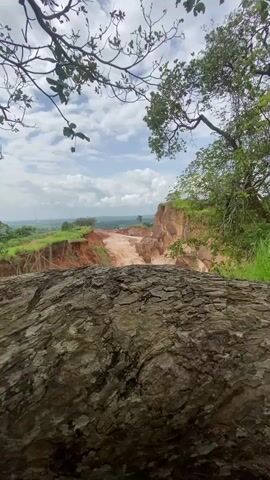 This is a landscape video set in Amaseri, Nigeria. The scene is a dramatic view of a large, eroded gully or quarry, with steep, reddish-brown earth walls. The gully is filled with a lighter, sandy material, suggesting it may be a former excavation site or a result of significant erosion. The terrain slopes down into a valley with green vegetation and some scattered trees. In the distance, a palm tree stands prominently, and rolling hills form the horizon under a cloudy sky.

The foreground features the rough, textured bark of a large fallen tree trunk, which frames the view of the gully. Green grasses grow along the edges of the gully, contrasting with the earthy tones. A few small figures, appearing to be people, are visible on the upper edge of the gully in the middle distance, suggesting human presence or activity in the area. The lighting suggests it is daytime, possibly late morning or early afternoon, with diffused sunlight due to the cloud cover. The overall impression is one of a rugged, natural landscape shaped by geological processes or human intervention. There is no visible text in the video.