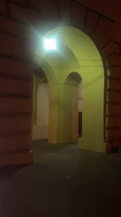 Evening stroll through illuminated Moscow captured in 19 memories