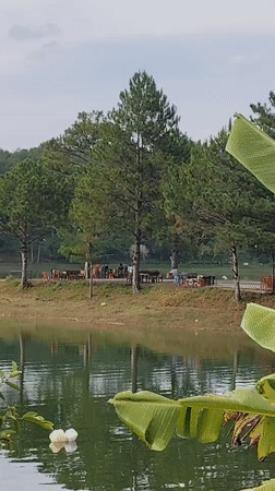 Morning lakeside observations captured around Da Lat, Vietnam