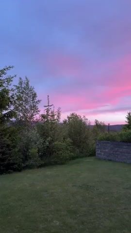 This video shows a backyard scene at dusk. A lush green lawn occupies the foreground. In the middle ground, a low stone wall is topped with dense green shrubs and small evergreen trees. Beyond the wall, a treeline stretches across the horizon. The sky above is painted with streaks of pink, purple, and blue, indicating a colorful sunset or twilight. No people or animals are visible.