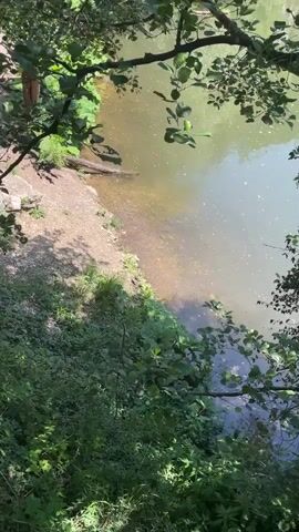 The video shows a tranquil body of water surrounded by lush green foliage and trees. The water is calm and reflects the dappled sunlight filtering through the leaves. The shoreline is a mix of sand and dirt, with some fallen logs and vegetation. The overall atmosphere is serene and natural, suggesting a peaceful outdoor setting.