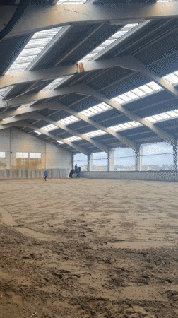 Two people spotted in indoor equestrian arena in Belgium