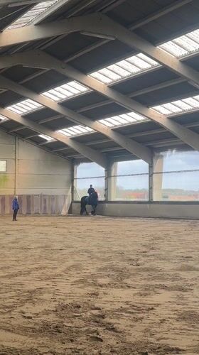 Two people spotted in indoor equestrian arena in Belgium