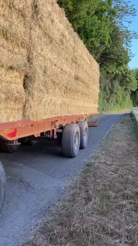 This video captures a rural scene in Sohren, Germany. The primary subject is a trailer heavily loaded with large, rectangular bales of hay. The trailer has large, rugged tires and is moving along a paved road. The road is bordered by dry grass and vegetation on the right side and a dense line of trees and bushes on the left.

As the trailer moves forward, the camera pans to reveal a vast field of ripe wheat or barley, its stalks appearing golden and green under the sunlight. The field stretches out towards a distant treeline and a hazy horizon. The sun is low in the sky, casting a warm, golden glow, indicating either sunrise or sunset. The sky is clear and blue.

The overall mood is peaceful and bucolic, evoking a sense of agricultural activity and the beauty of the countryside. There are no people visible in the video. The location cues, such as the type of crops and the lush greenery, along with the mention of Sohren, Germany, firmly place the scene in a rural German setting. The video appears to be a snapshot of a harvest or transportation of hay, a common agricultural task in such regions. The sunlight creates a soft, almost ethereal atmosphere over the expansive fields. No visible text is present in the video.