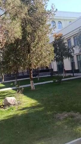 The video presents a static shot of a well-maintained outdoor space. A grassy lawn, interspersed with trees, forms the foreground, with several scattered rocks and small flower beds. A sidewalk runs parallel to the lawn, and a large building is visible in the background. The building has multiple windows and a light-colored exterior. A single individual can be seen walking on the sidewalk in the distance. The scene is illuminated by sunlight, casting shadows across the lawn.