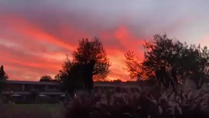 The video shows a stunning sunset with vibrant red and orange hues streaking across the sky.  Silhouetted trees stand in the foreground, partially obscuring a long, low-rise building.  A grassy area stretches out from the camera, with what appears to be tall ornamental grasses in the immediate foreground. Some people can be seen distantly on the lawn. The sky is the dominant feature, drawing the viewer's eye upward.