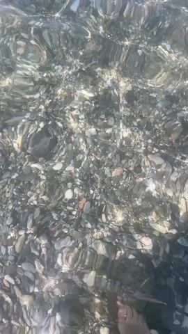 The video opens with a close-up of clear, shallow water rippling over a pebbly seabed. The camera then pans out to reveal a crowded beach scene with many people swimming and wading in the ocean. The water is turquoise and clear, with the pebbles and some seaweed visible beneath the surface. Several individuals are visible swimming, some with inflatable rings. In the background, a coastline with mountains and trees can be seen under a bright blue sky with scattered white clouds. People are scattered along the shoreline, and beach umbrellas are visible. The sun appears to be shining, creating a bright and summery atmosphere.