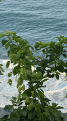 Coastal scene captured near Kuta Selatan, Indonesia