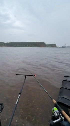 Late-night fishing session on the banks of Chaikovsky