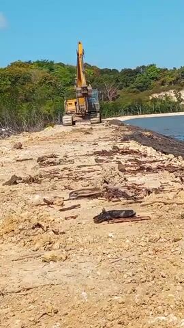 A yellow excavator is positioned on a dirt path next to the ocean. The path is covered in dirt and debris. In the background, there are trees and a clear blue sky. The excavator appears to be stationary.