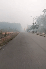 Foggy morning road cuts through Maburai's misty landscape