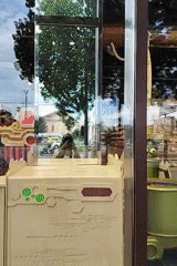 Person films store display featuring desserts and animatronic robots