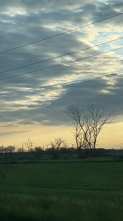 Vehicle journey documented through rural Novomargaritovo countryside