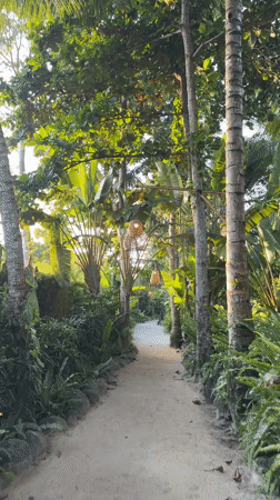 Beachgoers enjoy morning activities at Indonesian coastal resorts
