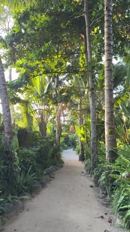 The video shows a narrow path winding through a lush, green, tropical garden. The path is light-colored and appears to be made of packed dirt or sand. Tall trees and dense foliage line both sides of the path. The trees include palms and banana trees, with large, broad leaves. Hanging from some of the trees are woven, basket-like lanterns, providing ambient lighting. The sun shines through the leaves, creating a dappled effect on the path and highlighting the vibrant green of the plants. The overall atmosphere is peaceful and serene, with a sense of natural beauty and tranquility.  No people are visible in the video.