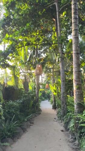 Beachgoers enjoy morning activities at Indonesian coastal resorts