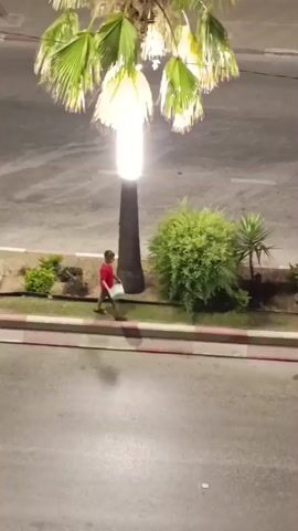 A person wearing a red shirt and dark shorts is walking along a sidewalk next to a street. The person is carrying a white object in their left hand. There are palm trees and bushes lining the sidewalk, and a lamppost is visible. The scene appears to be at night, with artificial lighting illuminating the area.