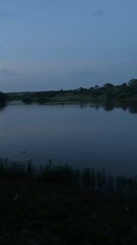 This is a video of a serene lake at dusk. The water is calm, reflecting the dark silhouettes of trees and a power line pole lining the opposite shore. The sky is a deep, dusky blue, with a few faint clouds. The overall atmosphere is peaceful and quiet, suggesting the end of a day. The lighting indicates it is either early morning or late evening, likely twilight. The scene appears to be a natural, undeveloped area, possibly a rural landscape given the presence of the power line and the untouched shoreline in the foreground. There is no visible text in the video.