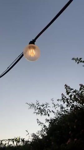 The video opens with a shot of the sky and a tree. The camera then pans down to reveal a path leading through an archway covered in vines and flowers. String lights hang from the archway, illuminating the path. The scene is set in a garden at dusk, with lush greenery and blooming flowers.