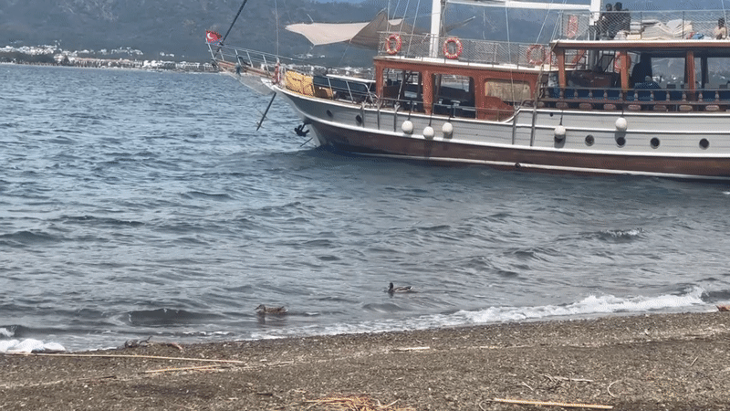 Boats anchor near Fethiye beach as ducks swim nearby