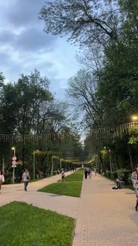 A vertical shot shows a park pathway lined with trees and lights. People are walking and sitting on benches. A person is riding a bicycle on the left side of the path. The sky is cloudy.
