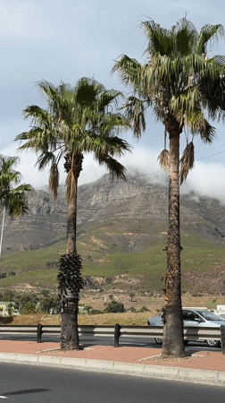 Table Mountain shrouded in morning clouds, Cape Town