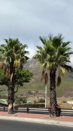 Table Mountain shrouded in morning clouds, Cape Town
