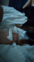 Quiet family moments captured in Noviy home with pets