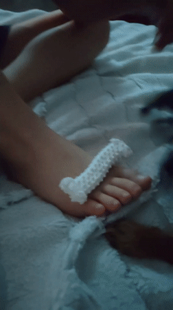 Quiet family moments captured in Noviy home with pets