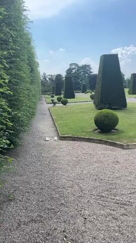 This media file depicts a beautifully manicured garden on a bright, sunny day. The scene is characterized by meticulously sculpted hedges and trees, arranged in geometric shapes. Prominent features include tall, conical topiaries and perfectly spherical bushes, creating a formal and almost architectural landscape.

The setting appears to be a well-maintained park or estate, with gravel pathways winding through lush green lawns. The pathway in the foreground is composed of light-colored gravel, bordered by manicured grass. To the left, a tall, dense hedge forms a green wall, defining the edge of the path.

In the midground and background, several large, dark green, cone-shaped topiaries stand tall, their sharp angles contrasting with the soft curves of the spherical bushes scattered throughout the lawn. There are also smaller, spherical topiaries closer to the pathways. In the distance, a line of trees forms a natural backdrop, and a few more geometric topiaries can be seen fading into the landscape. A white, puffy cloud floats in the bright blue sky.

There are no people visible in the media file. The only discernible object beyond the plants and pathways is a small, dark statue or ornament placed on the lawn between two spherical topiaries in the midground, and a spherical stone on a pedestal on the right side of the frame.

The time of day appears to be late morning or early afternoon, given the strong sunlight casting shadows. The weather is clear and pleasant, with a bright blue sky and scattered clouds, suggesting a warm day. The overall impression is one of serene beauty, order, and careful horticultural design, evoking a sense of peace and tranquility. The location context of Varese, Italy, suggests an Italian garden aesthetic, which often features formal design principles and classical influences. No visible text is present.