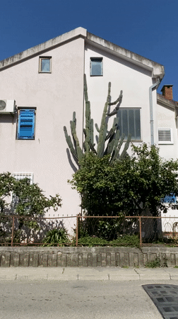 Morning moments captured across Budva: house, soccer, donut