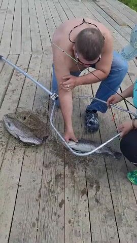 A shirtless man wearing jeans, sunglasses, and a necklace kneels on a wooden dock, carefully removing a fish from a landing net. He holds the fish with his hands while lifting it. A woman, wearing a light blue patterned shirt, dark pants, and a baseball cap, crouches beside him, holding the handle of the landing net and a fishing rod. Another fish is already secured in a circular, brown net fish trap or basket lying on the wet wooden planks to their left. The activity appears to be fishing or processing a catch. The scene takes place outdoors on a dock during the daytime. The provided location context is Kipen, Russia.