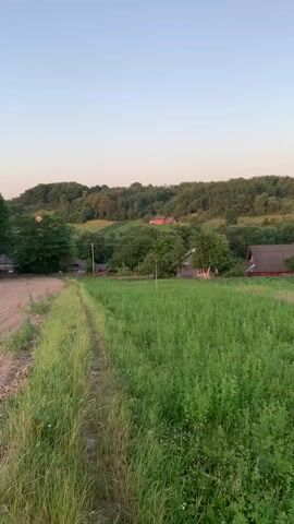 The video shows a panoramic view of a rural landscape at dusk. The scene is dominated by a large, green field in the foreground, with a path running along the left side. In the middle ground, several houses with red roofs are scattered among trees. The background consists of rolling hills covered in lush green forest. The sky is a soft blue, transitioning to pinkish hues near the horizon. A full moon is visible in the sky. The overall impression is one of tranquility and natural beauty.