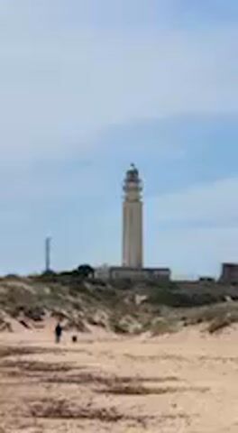 The video displays a static outdoor scene, focused on a tall lighthouse on a distant elevation against a bright blue sky.

In the foreground, a wide expanse of sandy beach or dunes dominates the lower part of the frame, with patches of dried, dark vegetation scattered across the sand. Briefly, a silhouetted figure, likely a person, walks from left to right across the mid-ground, accompanied by a small dog. They appear to be strolling casually along the sandy path or shoreline before moving out of frame.

Dominating the background is a prominent, light-colored lighthouse. It stands on a slightly elevated area, possibly a dune or a low hill, with several smaller, darker buildings visible at its base. The lighthouse itself is tall and cylindrical, topped with a distinctive lantern room. To the left of the main lighthouse, another slender, pole-like structure can be seen.

The sky is a clear, light blue with scattered faint white clouds, suggesting a sunny day. The lighting indicates daytime, likely mid-morning or early afternoon. The overall atmosphere appears calm and peaceful.

Audible in the background are soft, indistinct voices engaged in conversation, possibly in Spanish, accompanied by a subtle ambient hum or wind sound. The setting is consistent with a coastal area, specifically Barbate, Spain. There is no visible text in the video.