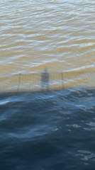 Moscow area sightseeing documented across multiple locations Sunday afternoon