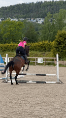 Woman trains brown horse in outdoor arena in Lierbyen