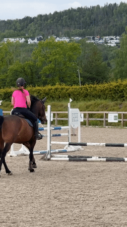 Woman trains brown horse in outdoor arena in Lierbyen