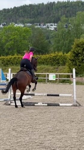 Woman trains brown horse in outdoor arena in Lierbyen