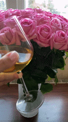 Woman enjoys wine moment with pink roses in Sochi