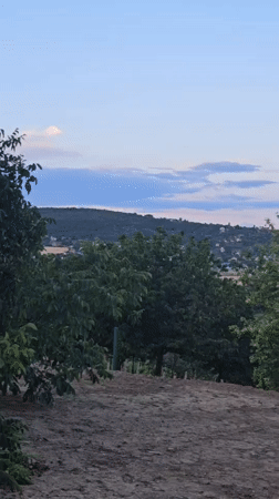Exploring vineyards and wine cellars near Hévíz at dusk