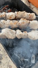 Woman and dog enjoy morning grilling session in Chaikovsky