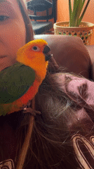 Child with parrot, snowy cars observed in Khimki